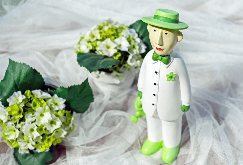 ecommerce-ESPARRON-min_man-person-flower-green-toy-fig-546529-pxhere.com